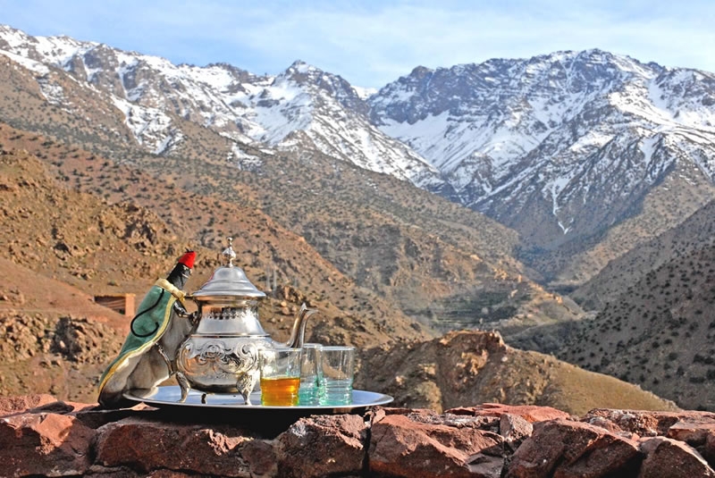 Mt Toubkal tea