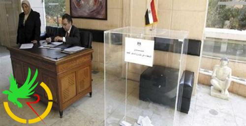 استفتاء مصر