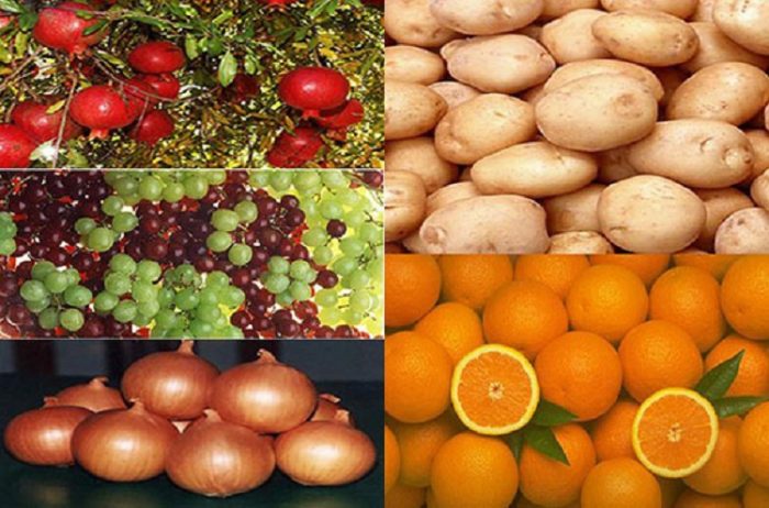 المحاصيل والمنتجات المصرية من البرتقال والبصل