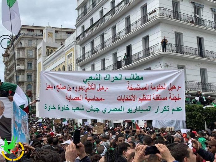 جمعة تخطي السيناريو المصري في الجزائر
