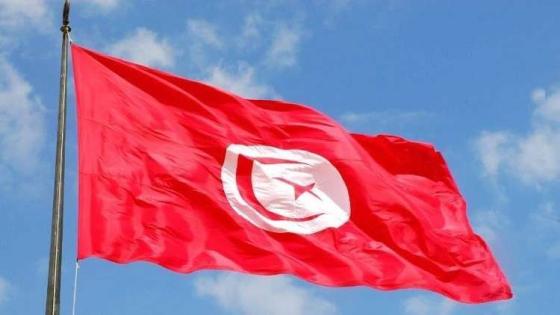 تونس تعلن استضافة أمم أفريقيا لليد والطائرة