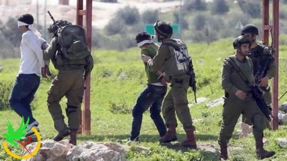 اعتقال 10 فلسطينيين في الضفة المحتلة