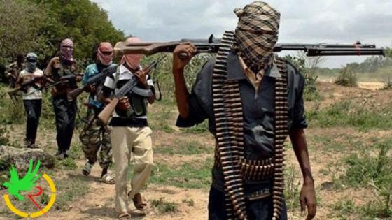 سيطرة بوكو حرام على قاعدة عسكرية في نيجريا