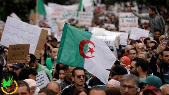 مظاهرت الجمعة بالجزائر تطالب برحيل نظام بوتفليقة كاملا