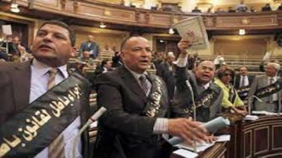 نشطاء مصريون يطالبون بمحاكمة اعضاء البرلمان لمخالفتهم لاحكام الدستورية